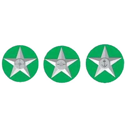 Rambler Star Badge