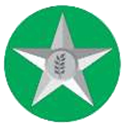Project Star Badge