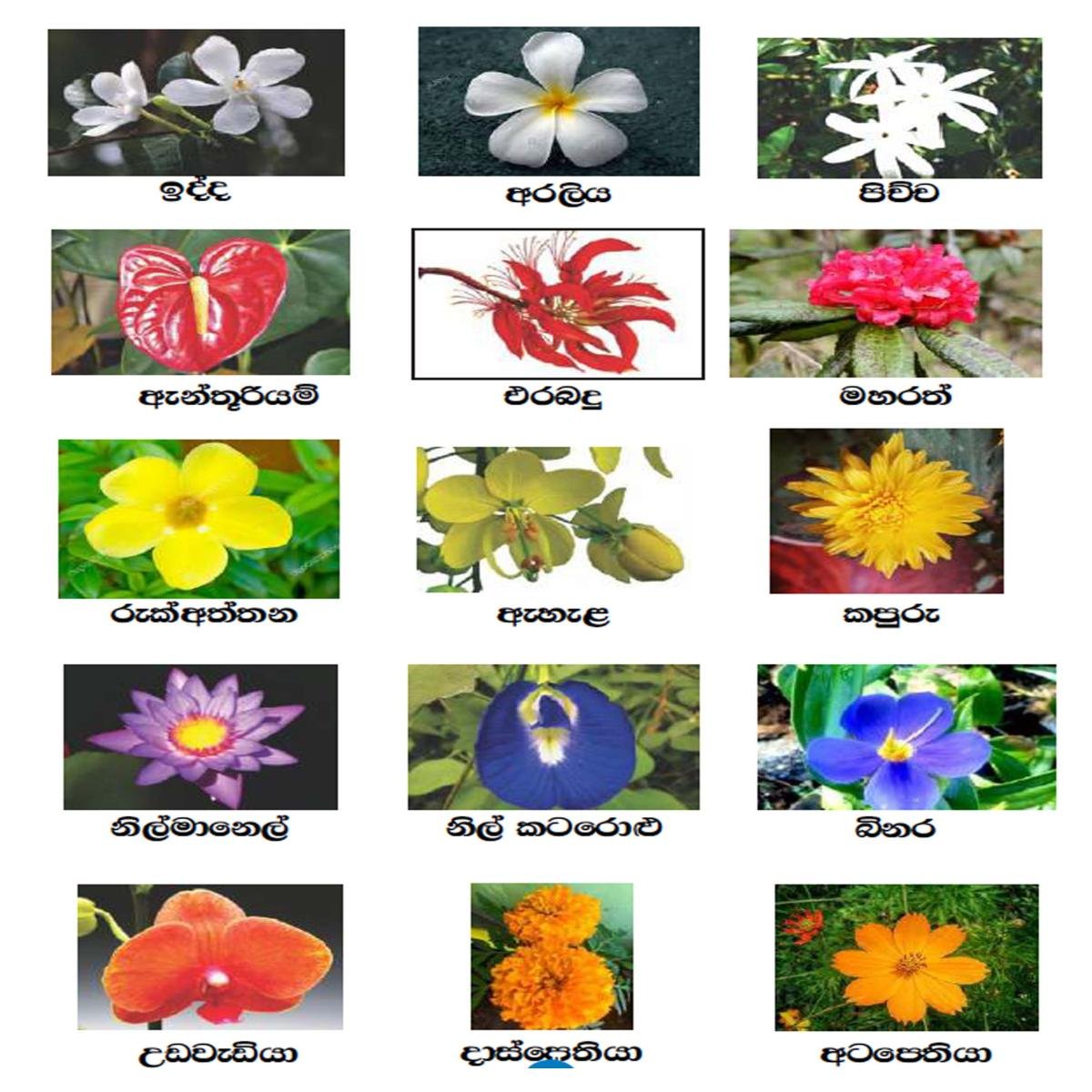 Sigithi Flower Badge